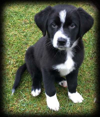 Blick fürs Detail!-Beitrag-Bild