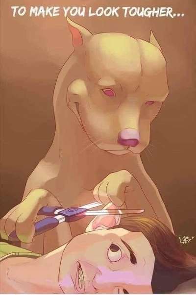 Kupierte Dobermänner-Beitrag-Bild