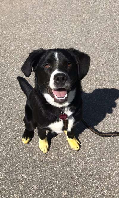 Lieblingsbild :D-Beitrag-Bild