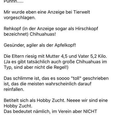 Qualzucht - Warum Aufklärung alleine nicht reicht-Beitrag-Bild