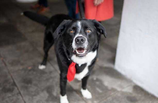 mailo, milow,meilo..-Beitrag-Bild