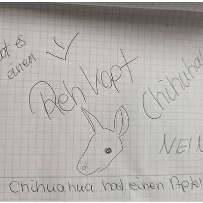 Qualzucht - Warum Aufklärung alleine nicht reicht-Beitrag-Bild