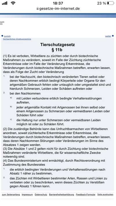 Brachycephale Hunderassen-Beitrag-Bild