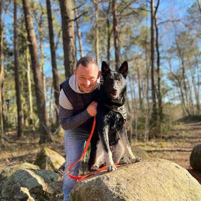 Hundetreffen-Laufen um den Ahlftener Flatt