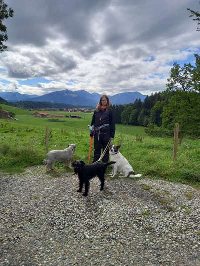 Dogorama Photo Challenge - Gassipause-Beitrag-Bild