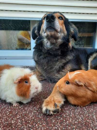 Lieblings Fotos-Beitrag-Bild