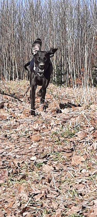 Dogorama Photo Challenge - Der Frühling kommt-Beitrag-Bild