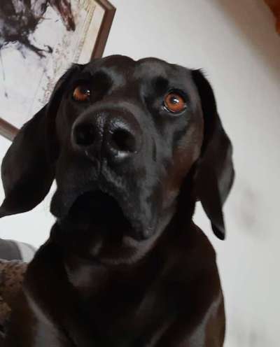 Fotochallange Nr. 57     PORTRÄT.   Beendet!!!!!!!!-Beitrag-Bild