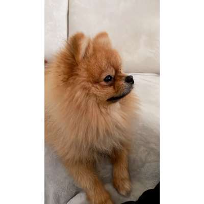 Lieblingsbild-Beitrag-Bild