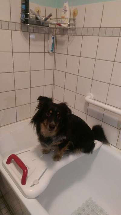 Lieblings Schnappschuss?-Beitrag-Bild