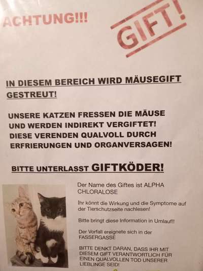Giftköder-Giftköder-Bild