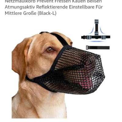 Sei kein Dummi nimm ein Gu....Giftköderschutz-Beitrag-Bild