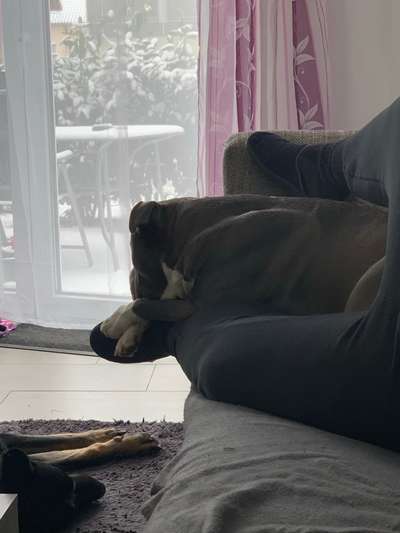 Die unbequemsten und lustigsten Schlafpositionen-Beitrag-Bild