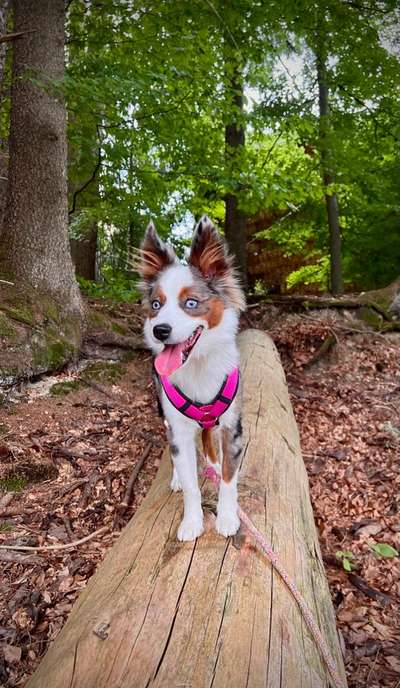 Handyfoto challenge Nr. 13: Waschlappen raus!-Beitrag-Bild