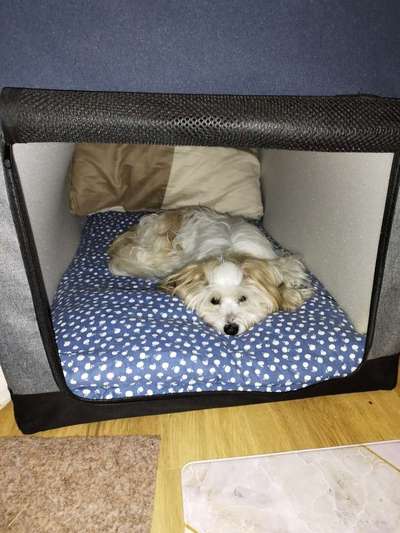 80. Foto  Challenge - Versteckt/ in einer Höhle-Beitrag-Bild