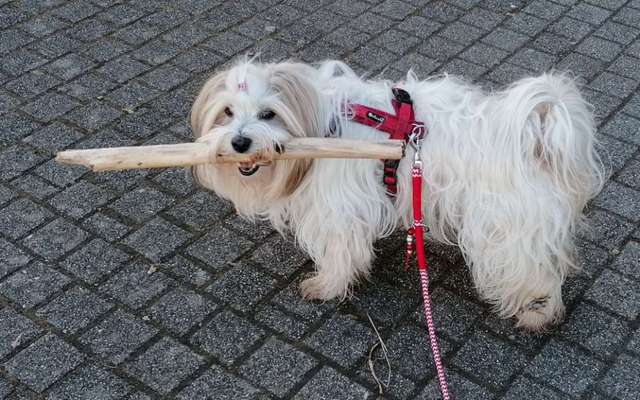 Fotochallenge Nr. 64-Beitrag-Bild