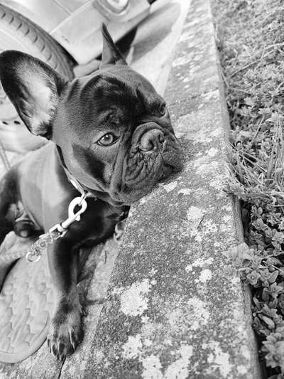 Foto-Challenge 76: Foto in Schwarz-Weiss-Beitrag-Bild