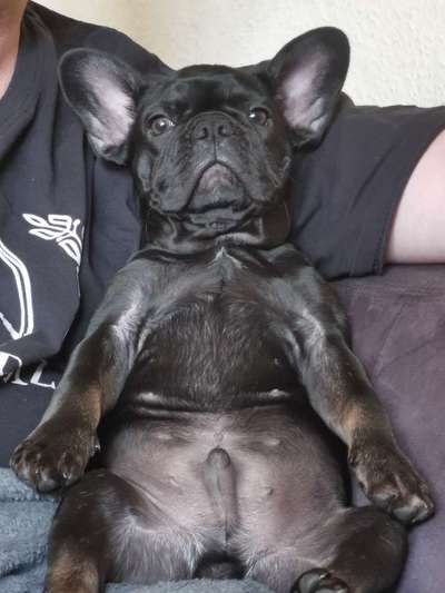 Lustige Grimassen & verrückte Posen-Beitrag-Bild