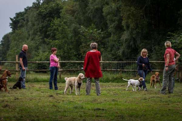 Giftköder-Alltagstraining-Bild