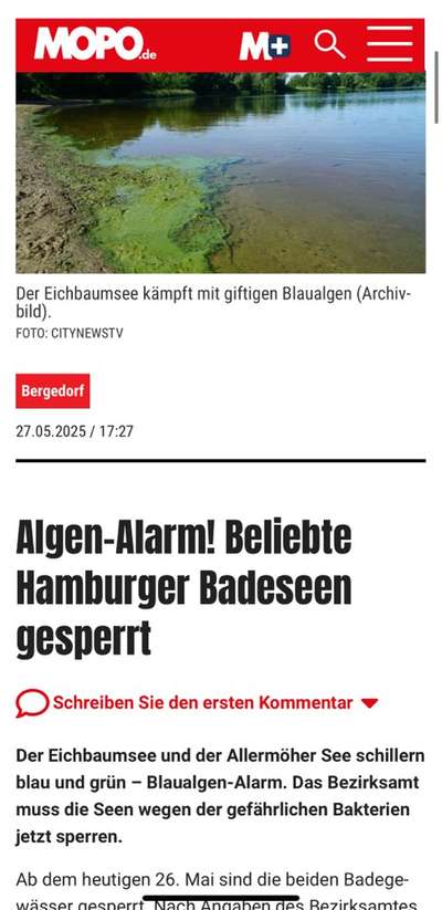 Giftköder-Blaualgen - Eichbaumsee & Allermöher See-Bild