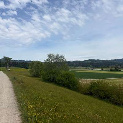 Hundeauslaufgebiet-Wetzikon Sportplatz-Bild