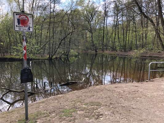 Hundeauslaufgebiet-Kiwittsmoor-Bild