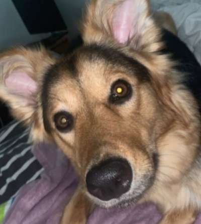 150. Foto Challaenge:  Die Augen, der Spiegel der Seele-Beitrag-Bild