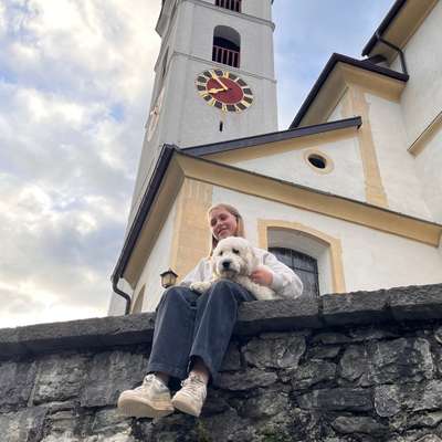 Hundetreffen-Problemhunde-Profilbild