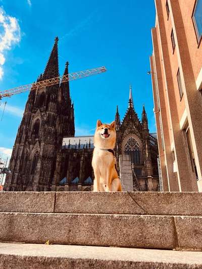 151. Photo Challenge: Sehenswürdigkeiten-Beitrag-Bild