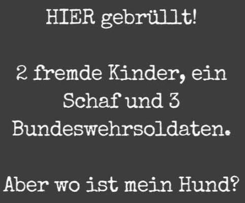 Hunde Memes-Beitrag-Bild