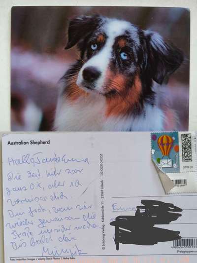 Freddys Kummerkasten-Beitrag-Bild