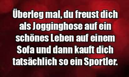 Hundehalter Stereotypen-Beitrag-Bild