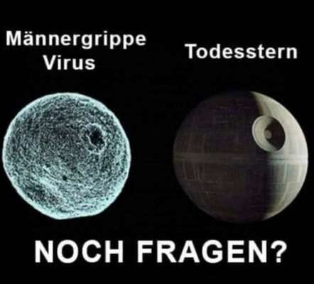 Freddys Kummerkasten-Beitrag-Bild