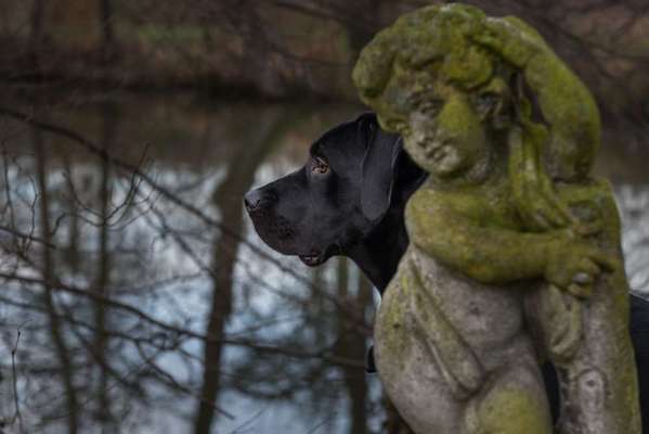 82. Foto Challenge: Skulptur/ Denkmal-Beitrag-Bild