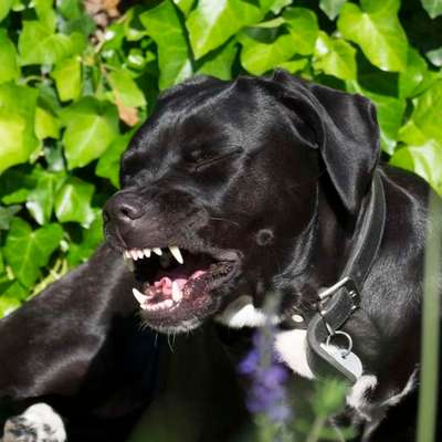 Empfehlung zu Zahnreinigung & Zahnsteinentfernung-Beitrag-Bild