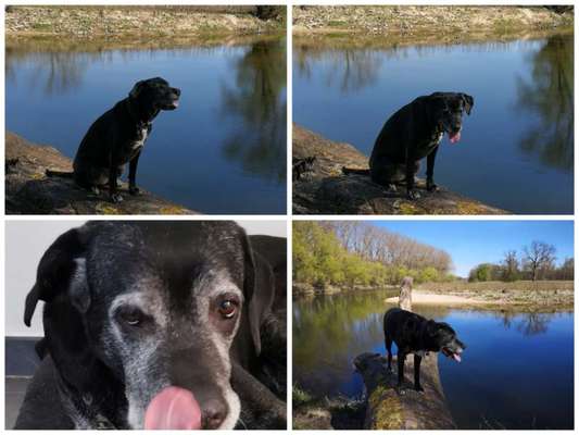 18. Collagen Challenge - Zunge raus!-Beitrag-Bild