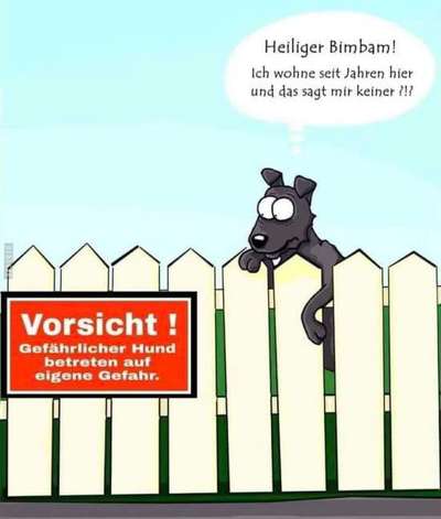 Hunde Memes-Beitrag-Bild