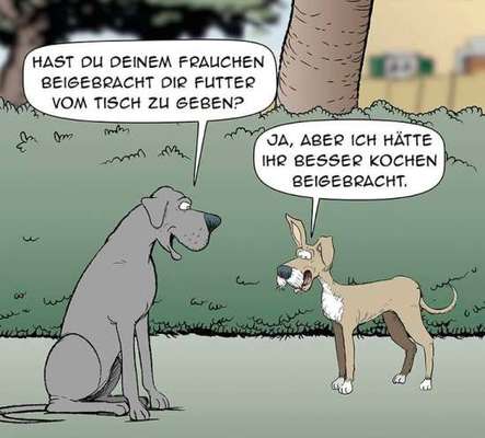 Hunde Memes-Beitrag-Bild