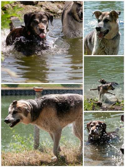 Eure schönsten Fotos mit Wasser-Beitrag-Bild