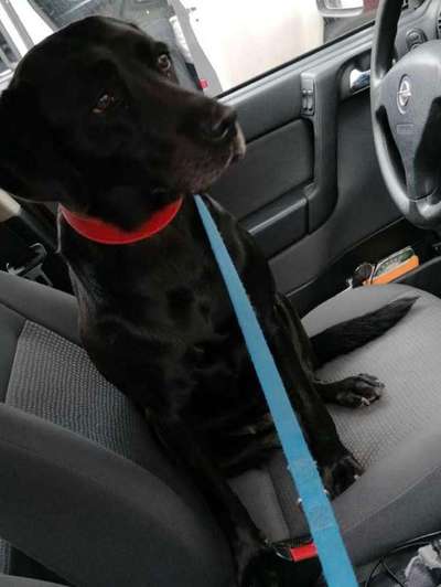 Freddys Kummerkasten-Beitrag-Bild