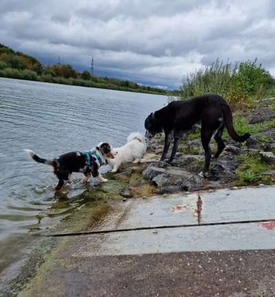 Freddys Kummerkasten-Beitrag-Bild