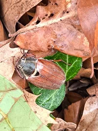 Was hat euch heute gefreut?-Beitrag-Bild