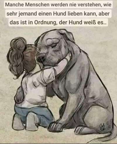 Hunde Memes-Beitrag-Bild