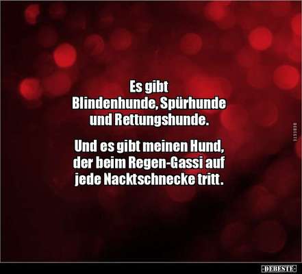 Hunde Memes-Beitrag-Bild