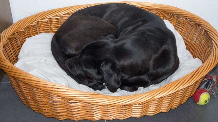 Fotochallange - Eingekugelt-Beitrag-Bild