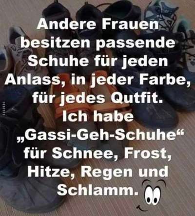 Hunde Memes-Beitrag-Bild