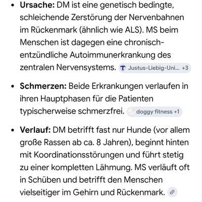 Hinterbeinprobleme und Inkontinenz beim alten Hund-Beitrag-Bild