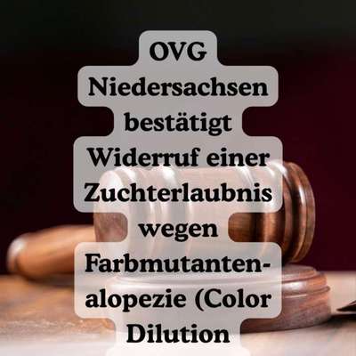 Qualzucht - Warum Aufklärung alleine nicht reicht-Beitrag-Bild
