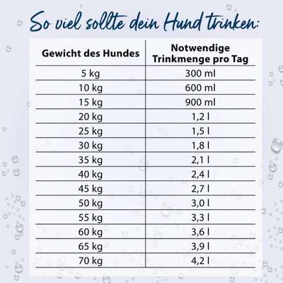 Tricks für höhere Trinkmenge gesucht-Beitrag-Bild