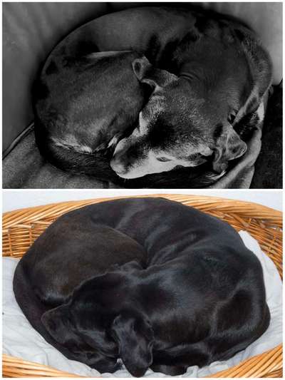 Freddys Kummerkasten-Beitrag-Bild